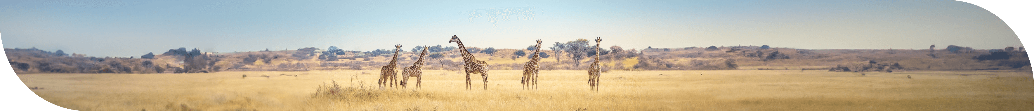 shutterstock_2411489379@2x