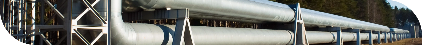 shutterstock_2139605517 (1)