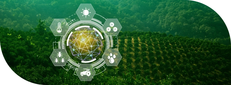 shutterstock_2396369717