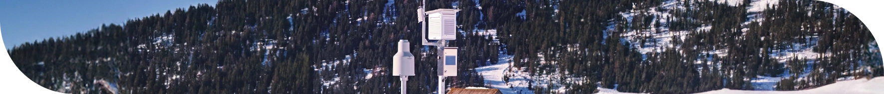 shutterstock_2423300473a (1)